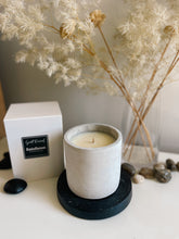Load image into Gallery viewer, Smells like Rainforest - concrete jar candle